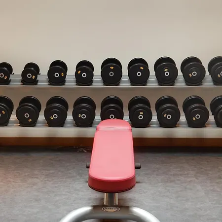 Paris Cdg Airport 4* Руасси-эн-Франс