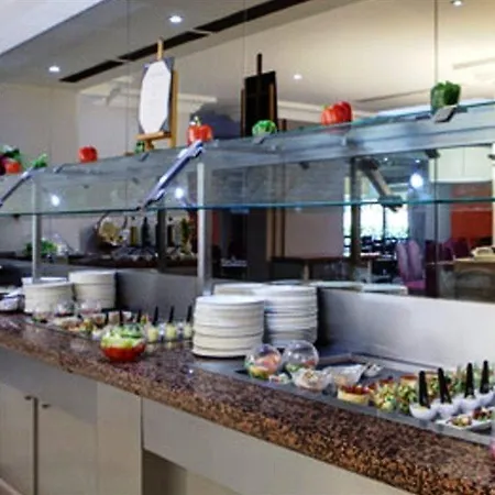 巴黎戴高乐机场最佳西方酒店 鲁瓦西昂法兰西