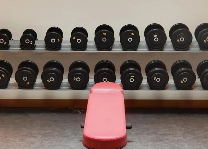 Paris Cdg Airport 4* Roissy-en-France